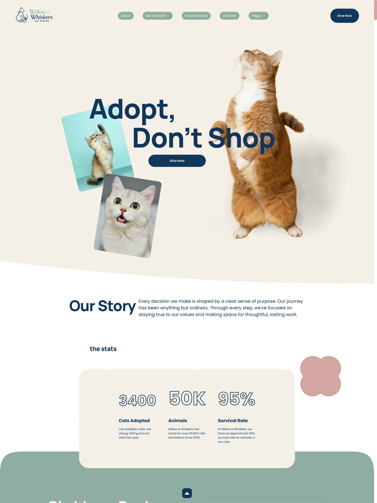 Willow Whiskers Squarespace template home page