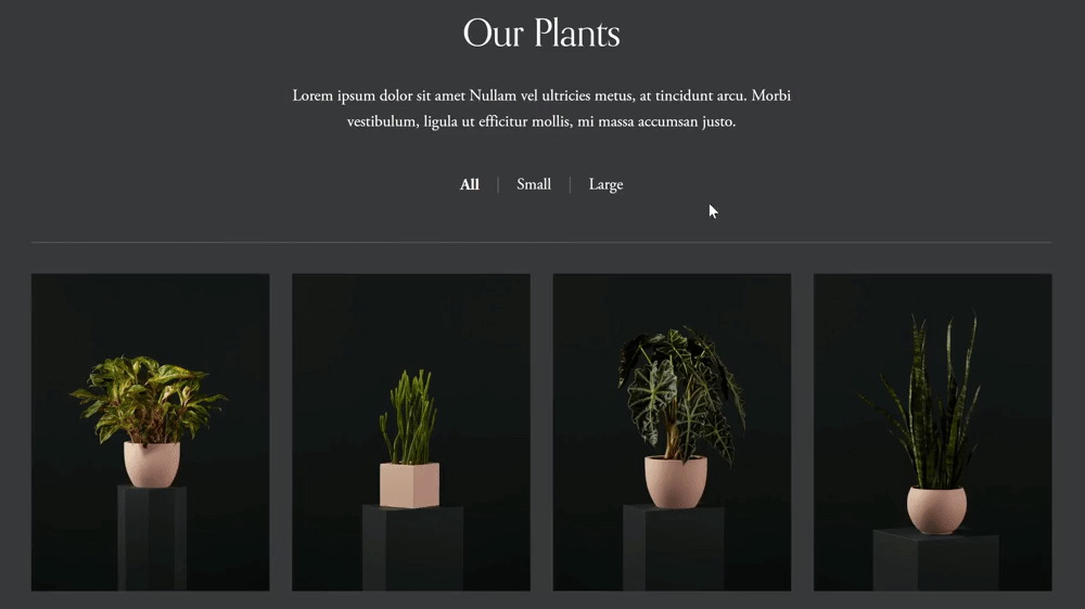 7.1 Shop Category "Top" Nav - Squarespace Templates
