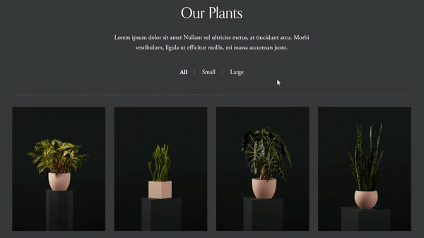 7.1 Shop Category "Top" Nav - Squarespace Templates