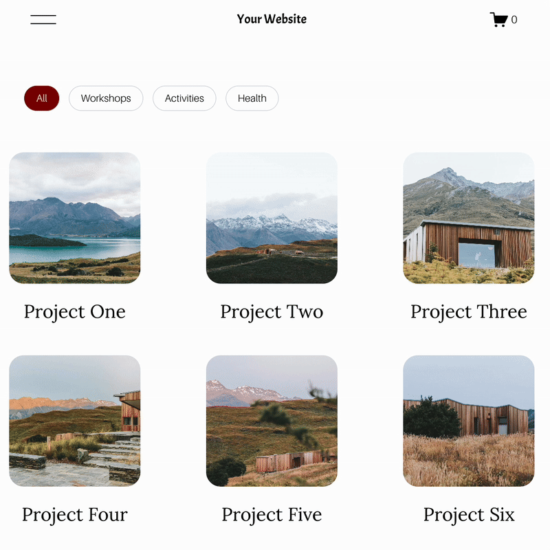 Genius Squarespace Filter Plugin filtering a portfolio page