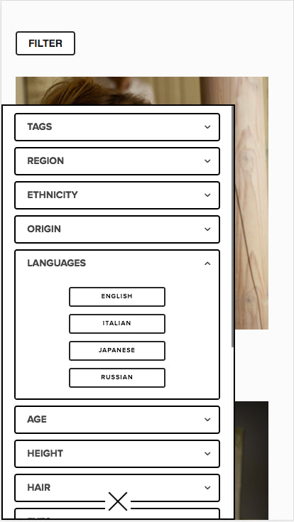 Squarespace Filter Plugin