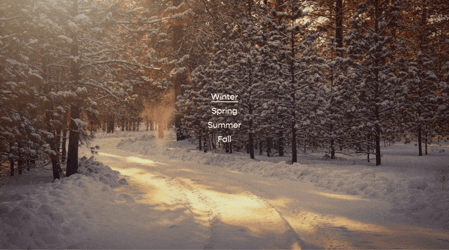 Auto Transition Portfolio Index - Squarespace Templates