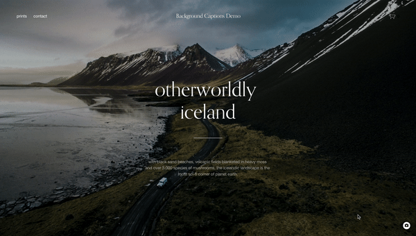 Background Image Captions - Squarespace Templates