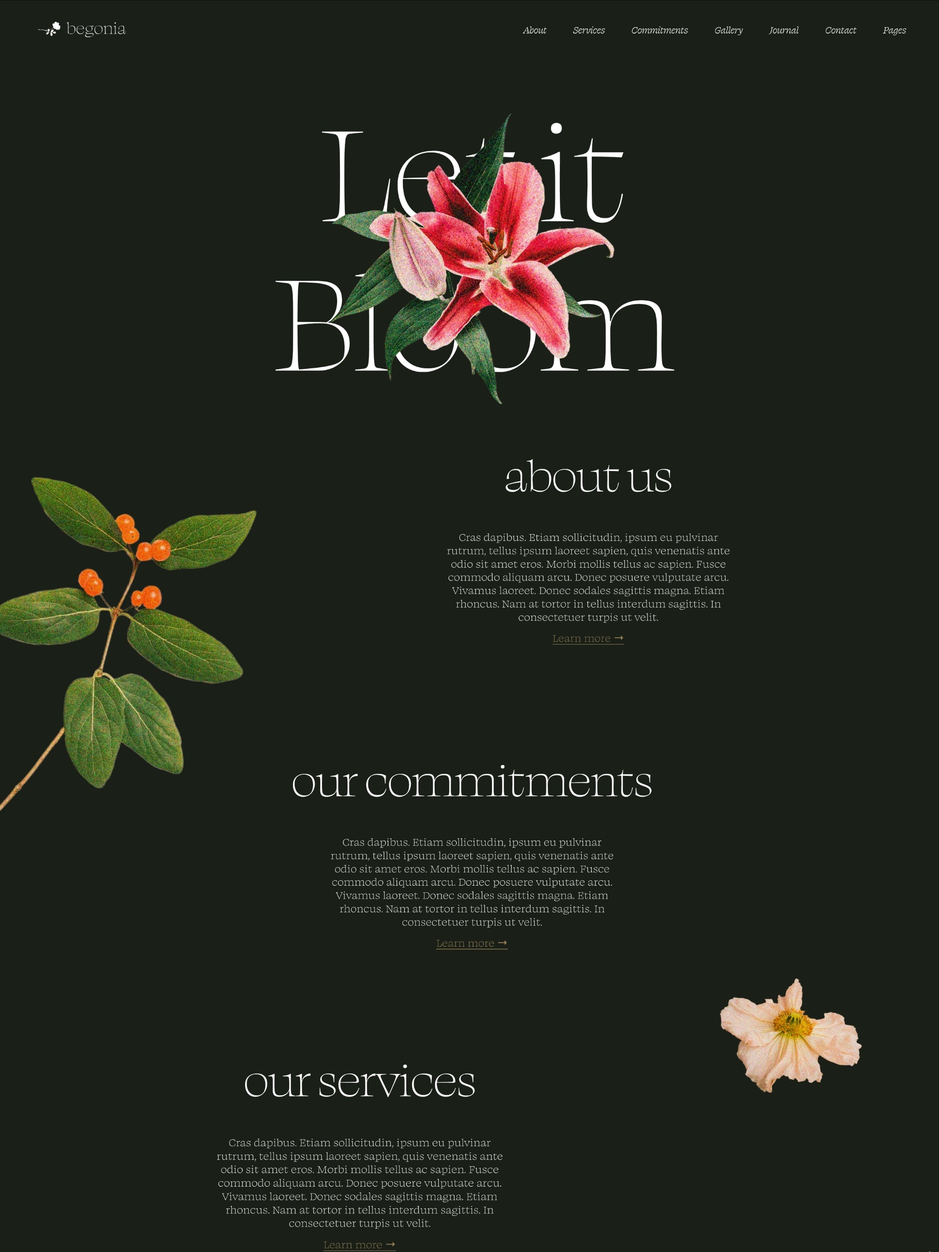 Begonia