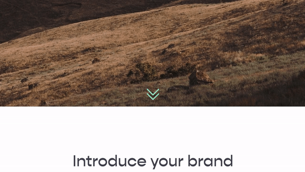 Bounce Animation for “Keep Scrolling” Icon - Squarespace Templates