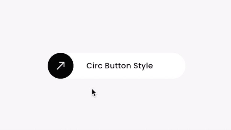 Circ Button Hover Style - Squarespace Templates