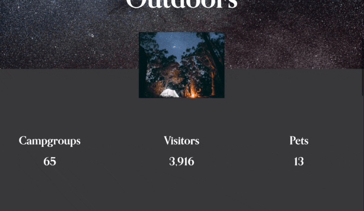 Count Up Animation - Squarespace Templates