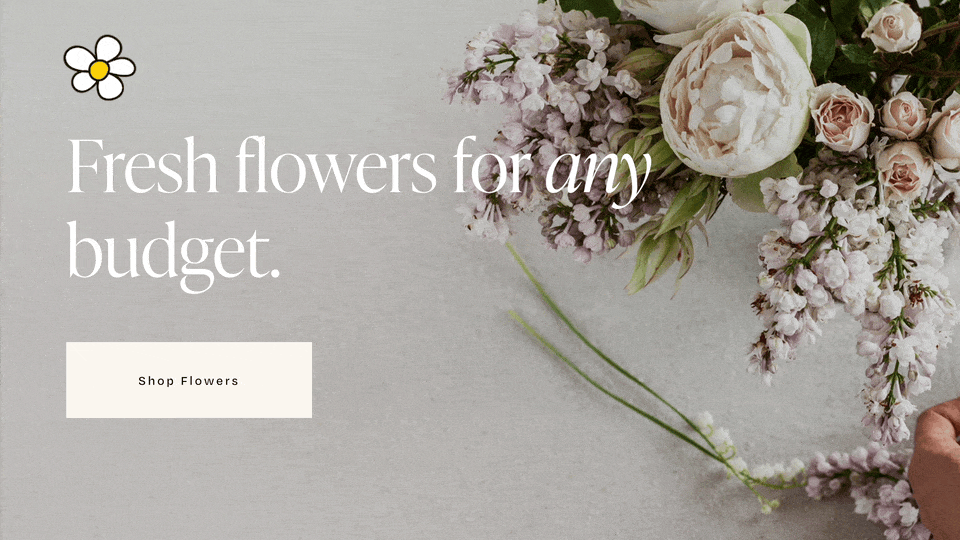 Custom Image Cursor - Squarespace Templates
