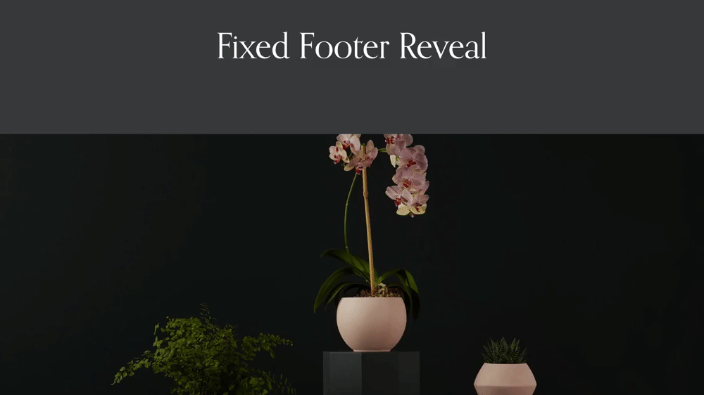 Fixed Footer Reveal in Squarespace - Squarespace Templates