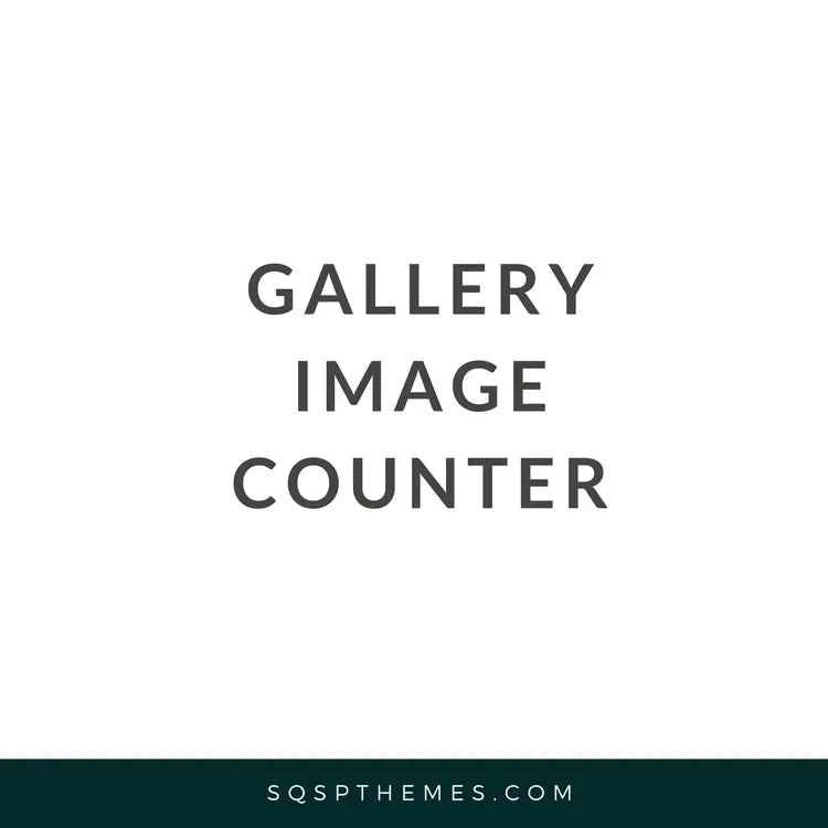 Gallery: Image Counter Plugin
