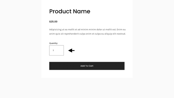 Hide Quantity Box (Product Page) – Squarespace Commerce & Store on SquareLocator