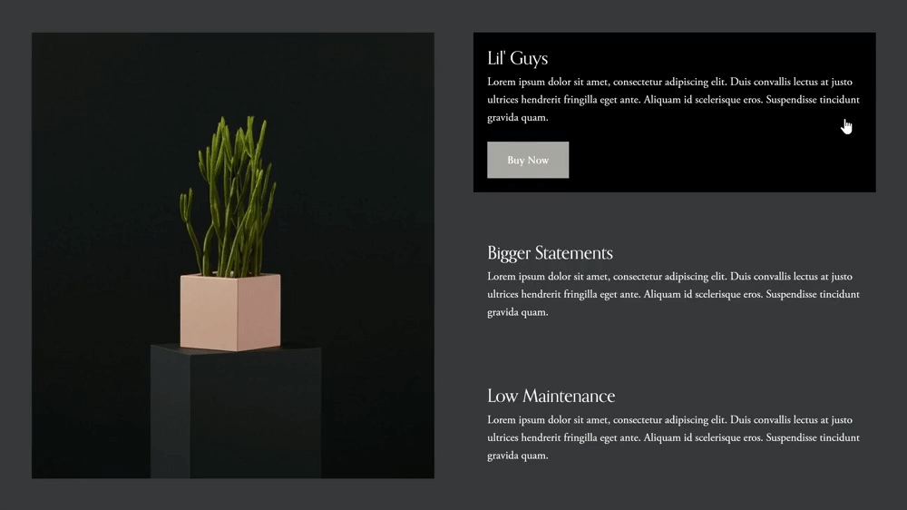 Hover Image Changer - Squarespace Templates