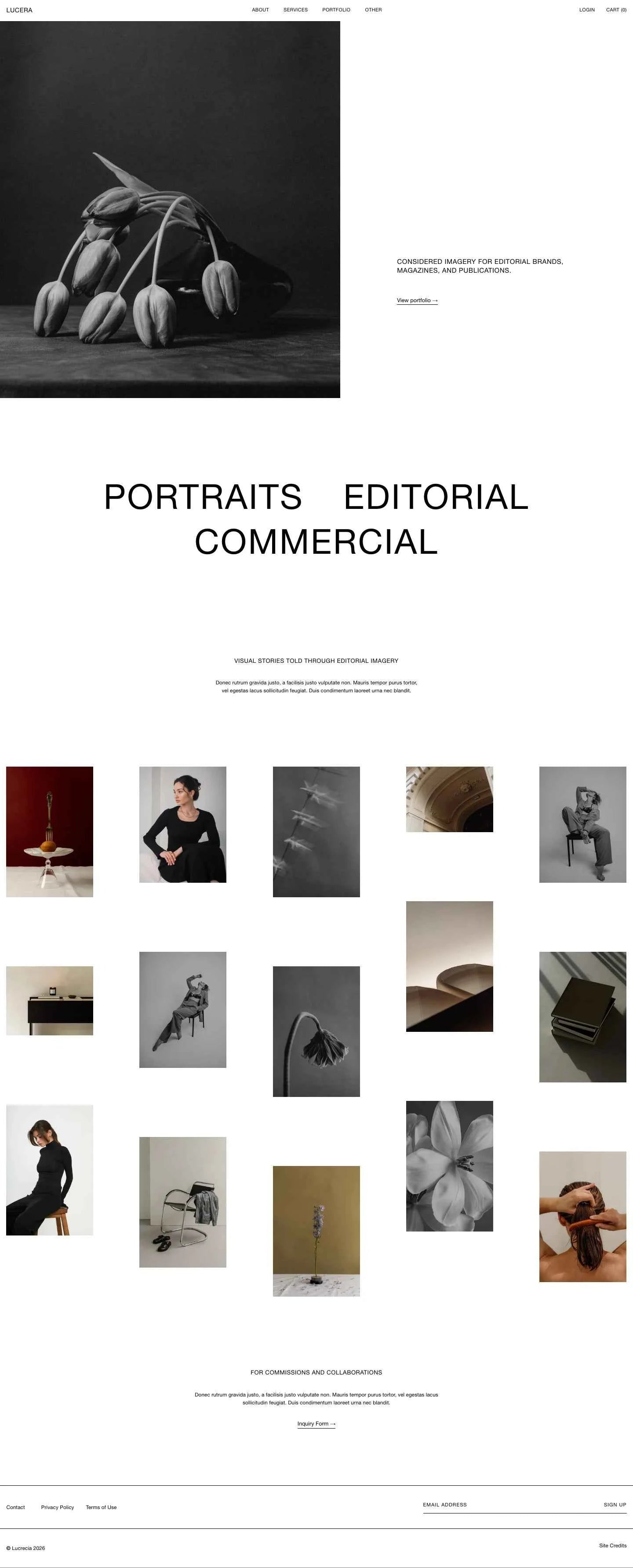 Lucera - Squarespace Templates