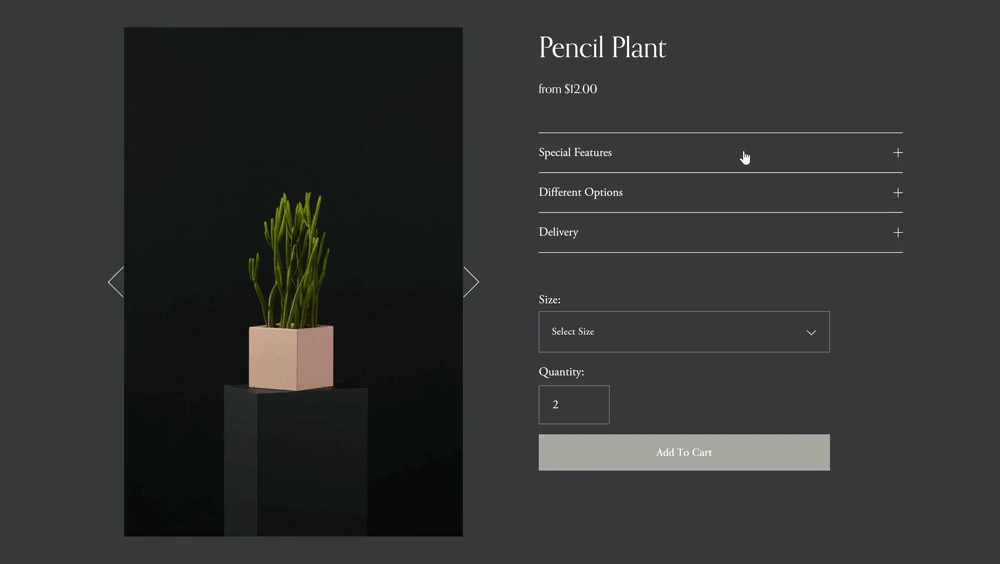 Product Page Dropdowns - Squarespace Templates