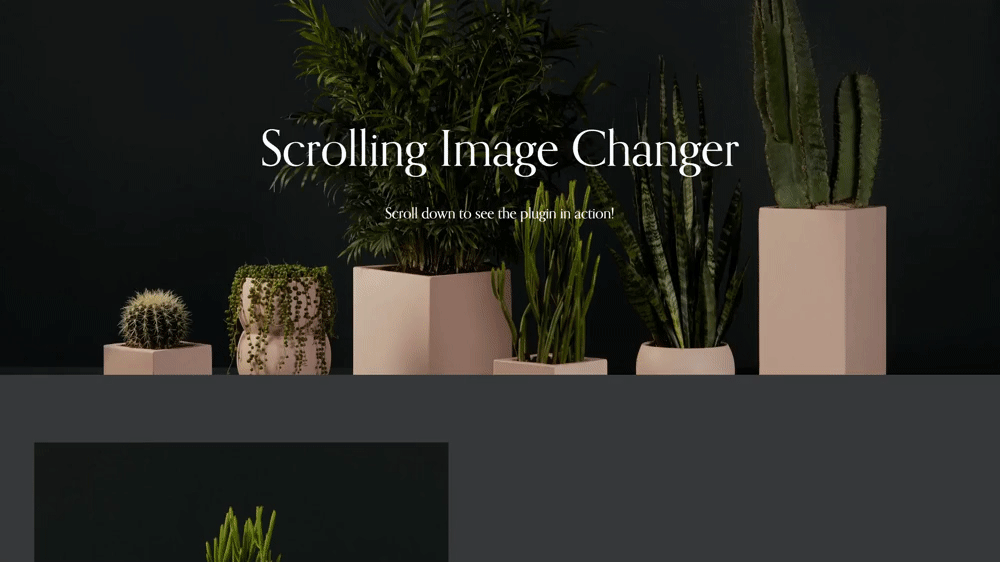Scrolling Image Changer - Squarespace Templates