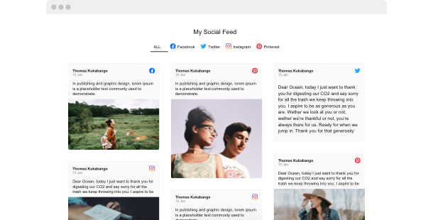 Social Media Feed