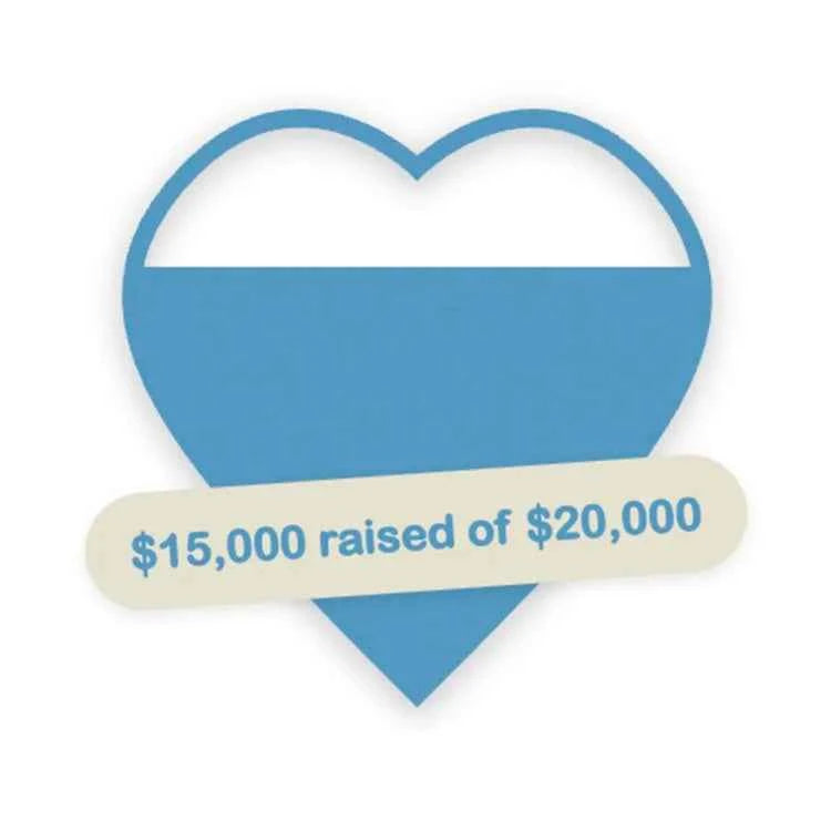 Squarespace Fundraising Tracker Plugin