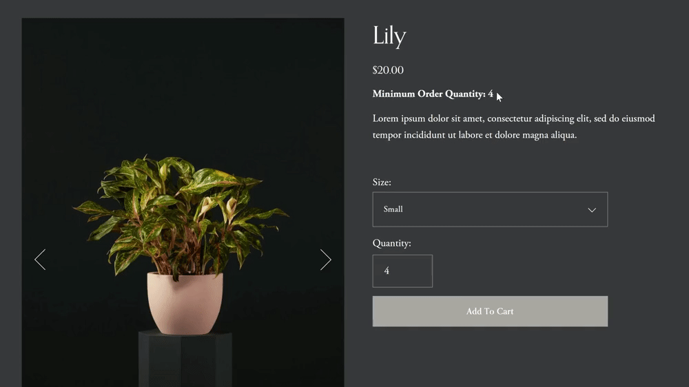 Squarespace Minimum Order Quantity Plugin - Squarespace Templates
