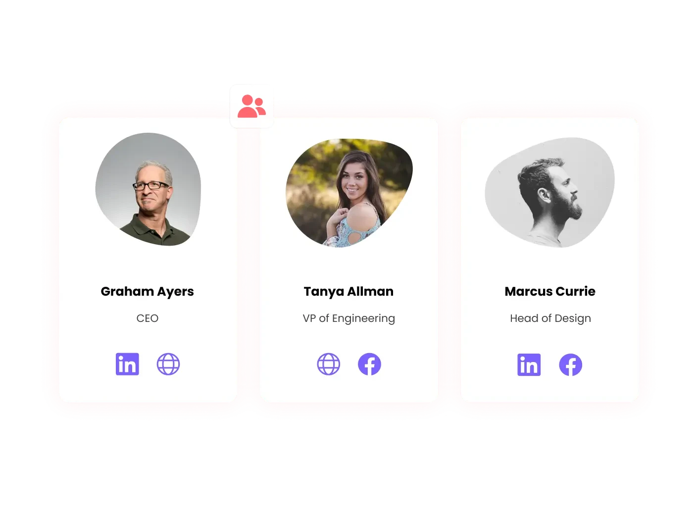 Team Members Blobs Widget