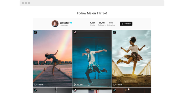 TikTok Feed – Squarespace Media & Galleries on SquareLocator